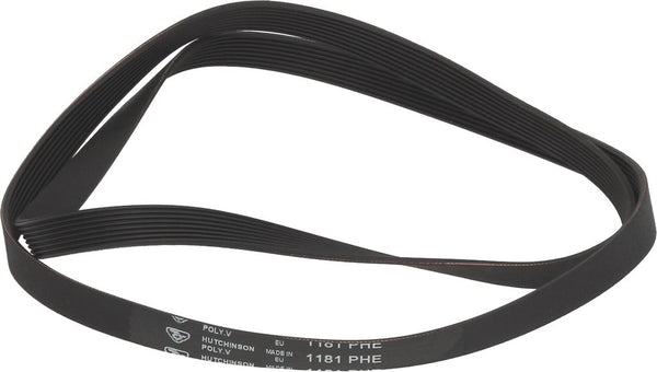 CINGHIA HUTCHINSON 1181 H8 EL