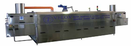 LAVACONTENITORI E STAMPI A NASTRO CON APERTURA AD ALI DI GABBIANO SERIE LCT A 60 210 2L E