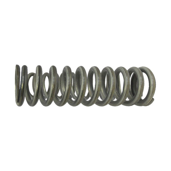 MOLLA GRUPPO A LEVA SAN MARCO (COPPIA) -INOX