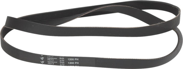 CINGHIA HUTCHINSON 1200 H9