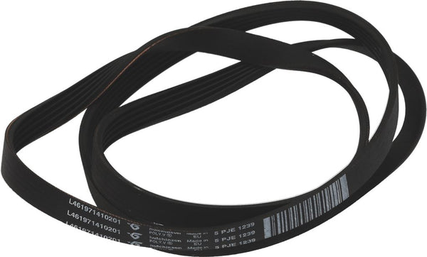 CINGHIA 1239 J5 EL