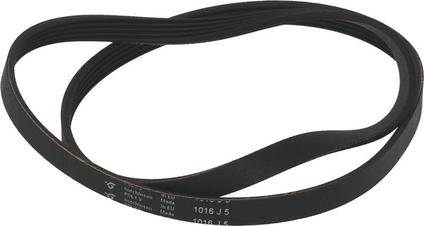 CINGHIA HUTCHINSON 1016 J5