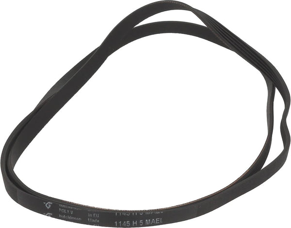 CINGHIA HUTCHINSON 1145 H5 EL