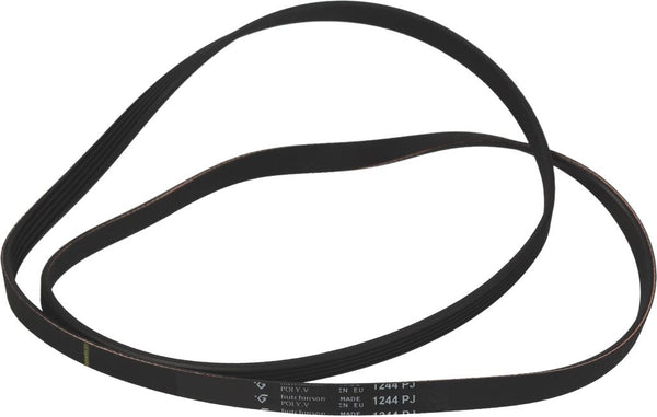 CINGHIA HUTCHINSON 1244 J5