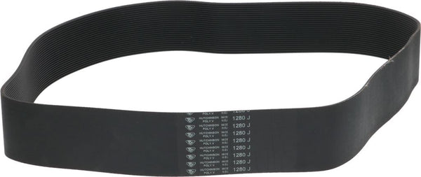 CINGHIA POLY V 1280J H58 24 GOLE