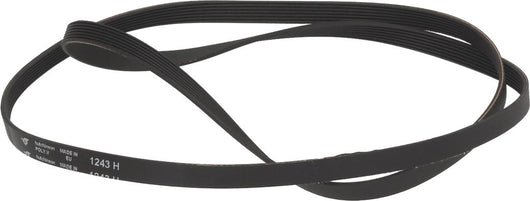 CINGHIA HUTCHINSON 1243 H7