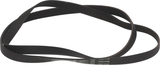 CINGHIA HUTCHINSON 1243 H8 EL