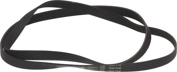 CINGHIA HUTCHINSON 1243 H8 EL