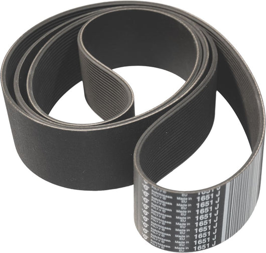 CINGHIA POLY V 1651 J65 20N