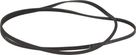 CINGHIA HUTCHINSON 1651 J4