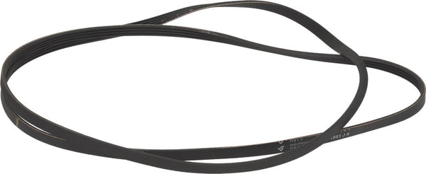 CINGHIA HUTCHINSON 1651 J4