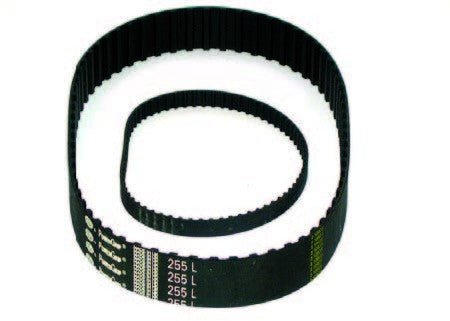 CINGHIA DENTATA PER AFFETTATRICE 150 XL 037 H 10
