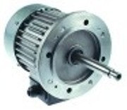 motore ventilatore 230/400-415v fasi 3 50/60hz 0,25kw 1400/1600rpm velocità 1 l1 175mm l2 70mm