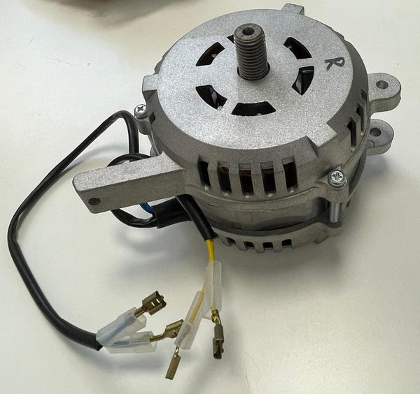 MOTORE RGV MOD. 250 AFFETTATRICE AFFETTATRICI 220V PACCO 40