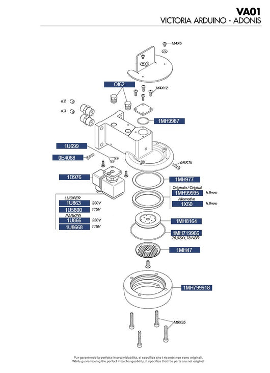 VICTORIA ARDUINO - GRUPPO EROGAZIONE ADONIS