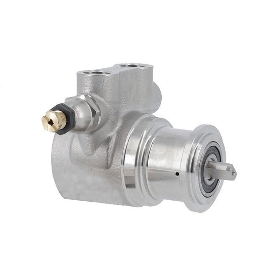 POMPANTE A FASCETTA FLUIDOTECH 100 L/H, 3/8"GAS INOX NSF CERTIFICATO