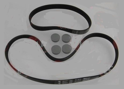 ASSIEME CINGHIA MULTIGRIP PJ494 7 GOLE ROBOT COUPE Cutter R402A, R402A 1 chisko.it