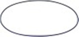 o.r. epdm spessore 2mm int. diametro  171mm con. 1 pz