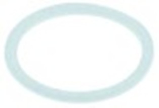 guarnizione piana ptfe diametro  est. 24mm int. diametro  20,4mm spessore 1mm conf. 1 pz