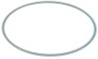 o.r. silicone spessore 4,5mm int. diametro  170,5mm con. 1 pz