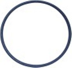 o.r. viton int. diametro  63,17mm spessore 2,62mm con. 1 pz