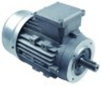 motore w 230/400-277/480v 50/60hz fasi 3 albero diametro  24/27mm flangia diametro  139mm 1400/1680rpm