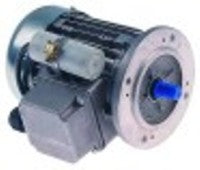 motore 90w 230v 50hz fasi 1 albero diametro  9mm flangia diametro  120mm 1300rpm tipo mm56 diametro  110mm h 160mm