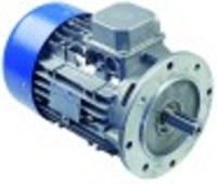 motore 230/400v 50hz 1400rpm tipo 100 fasi 3 albero diametro  24mm flangia diametro  200mm 2200w 2,2kw