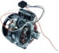 motore 230v 50hz cl50d 1 poli tagliaverdura